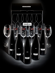 CAJA 3 bot. HABLA Nº 11 + 3 bot. HABLA Nº 15 +  6 COPAS RIEDEL