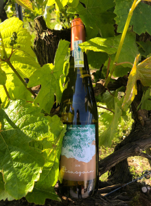 TXAKOLI ITSASGAIN 2022, C/12 TXAKOLI ITSASGAIN 2022, C/12